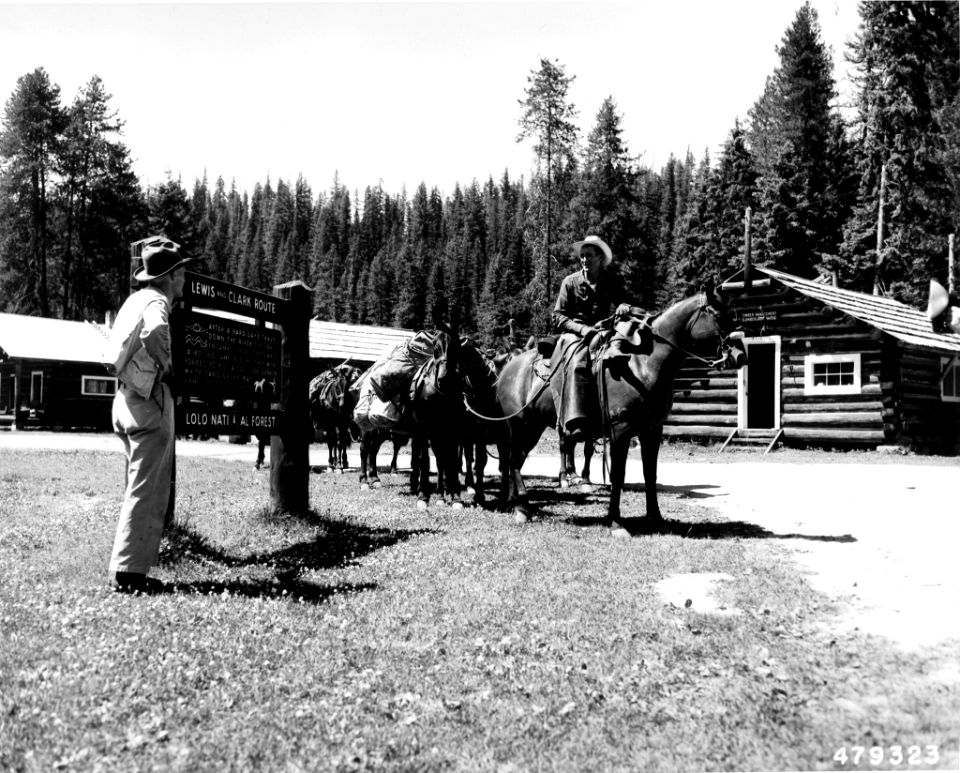 195507XX-FS-Lolo-WES-479323