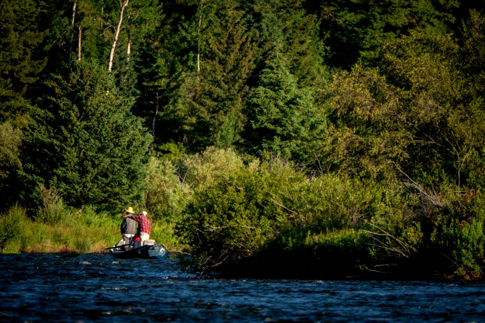 20180711-FS-Beaverhead-PJK-1470