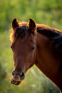 20180710-FS-Beaverhead-PJK-2011