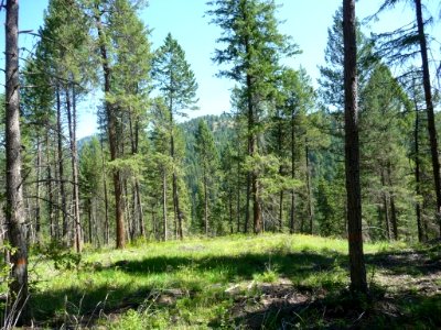 20190408-FS-Colville-LB-001