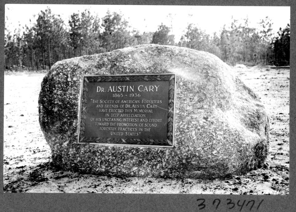 193811XX-FS-Florida-WRM-373471