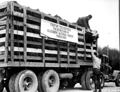 19380420-FS-Alleghany-HCF-361810