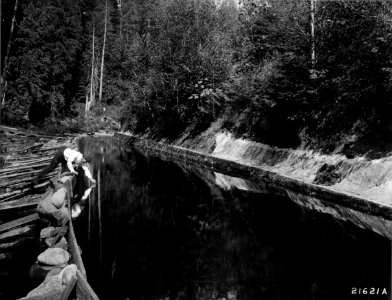 1914XXXX-FS-Oregon-WSC-21621