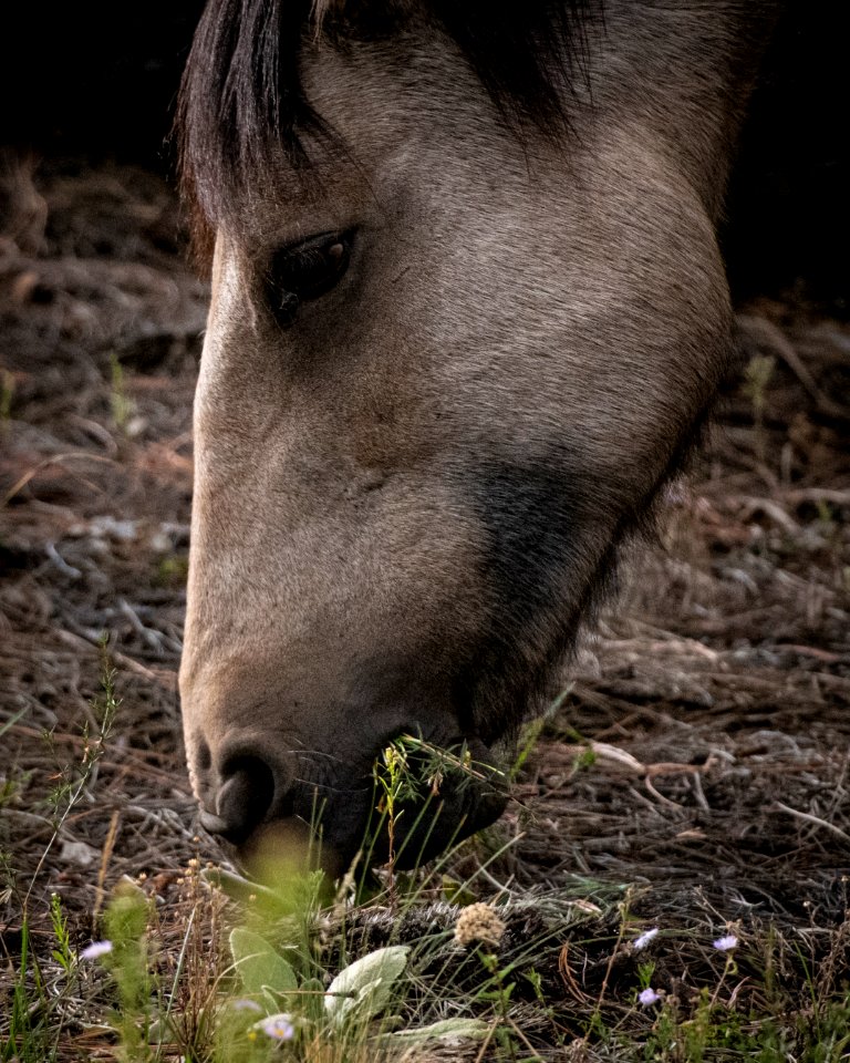 20190926-fs-lsc-0730 49751889111 o