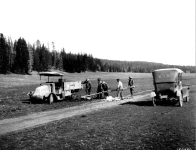 1920XXXX-FS-ESS-Kaibab-150480