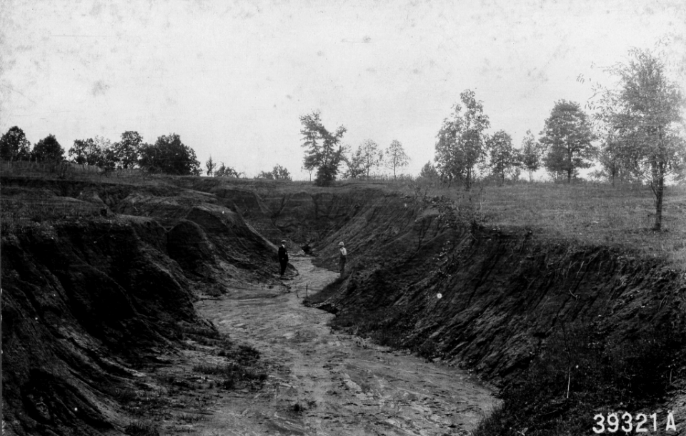 1915XXXX-FS-Tennessee-WRM-39321