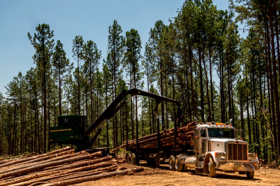 170731-FS-Chatahochee-CMR-439