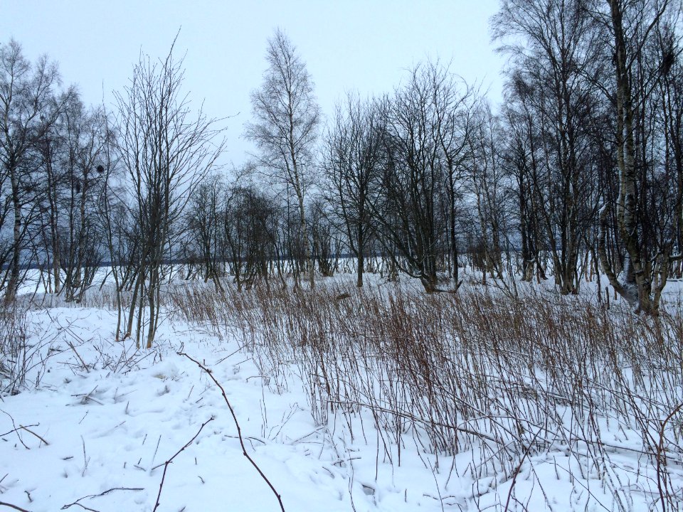 20160124 103053634 iOS