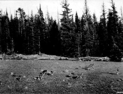 1924XXXX-FS-Kaibab-FSB-190207