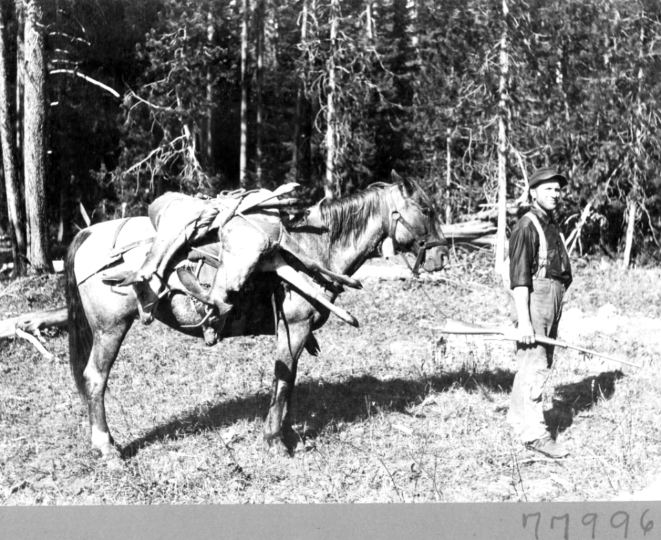 1908XXXX-FS-Wallowa-WJL-77996