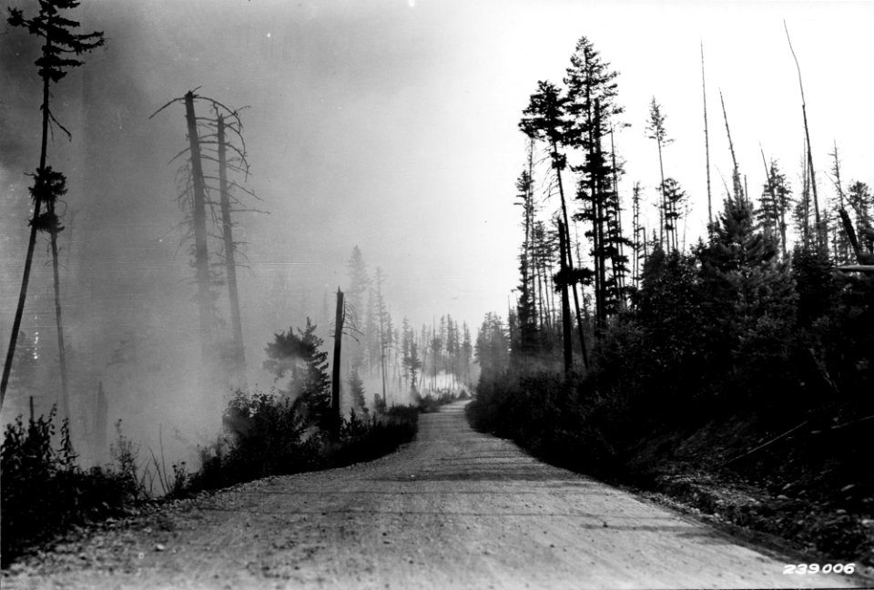 19290822-FS-Flathead-KDS-239006