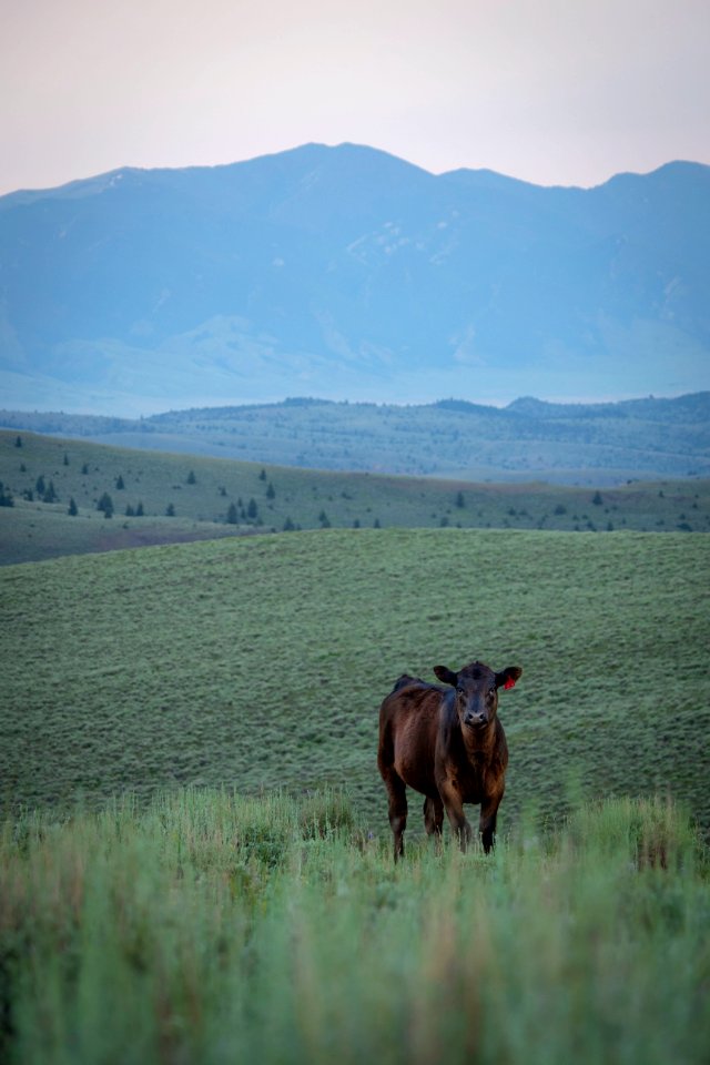 20180710-FS-Beaverhead-PJK-1262