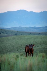 20180710-FS-Beaverhead-PJK-1262