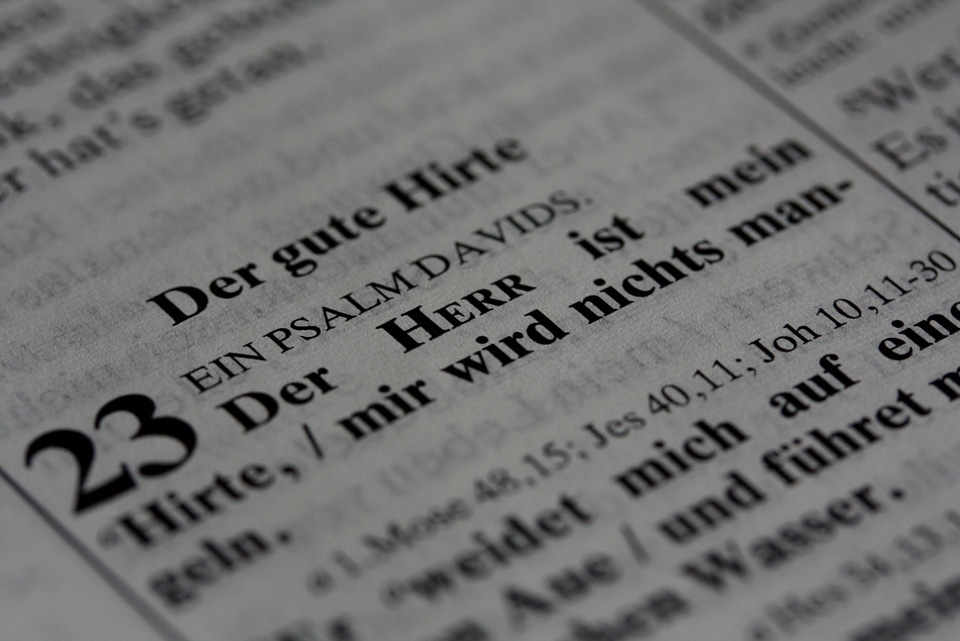 Page macro close up