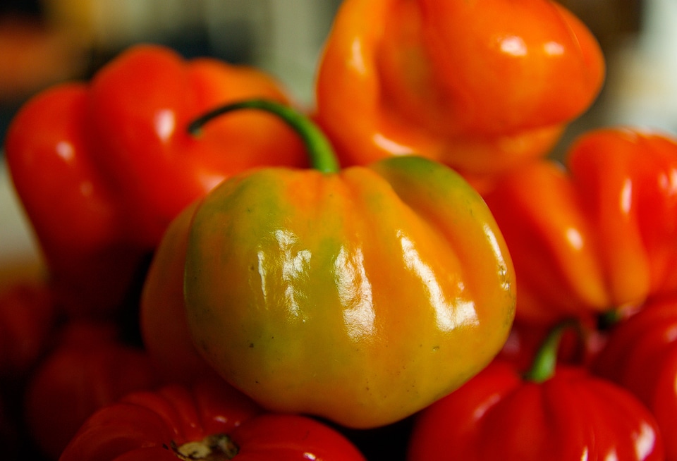 Peppers spices kitchen