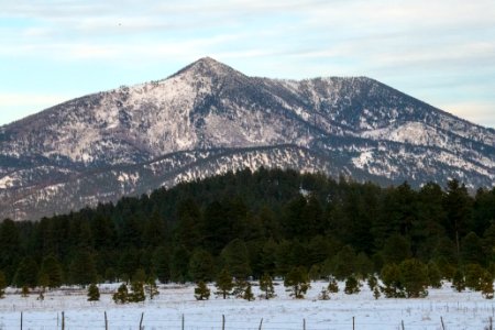20181204-fs-kaibab-lsc-1045 47095361582 o