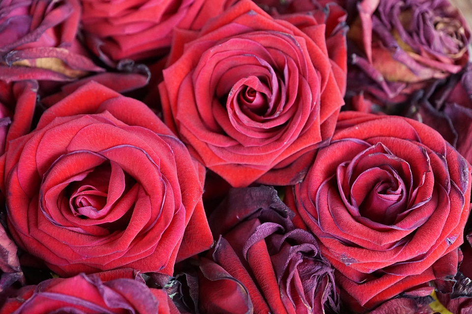 Nature valentine's day wedding