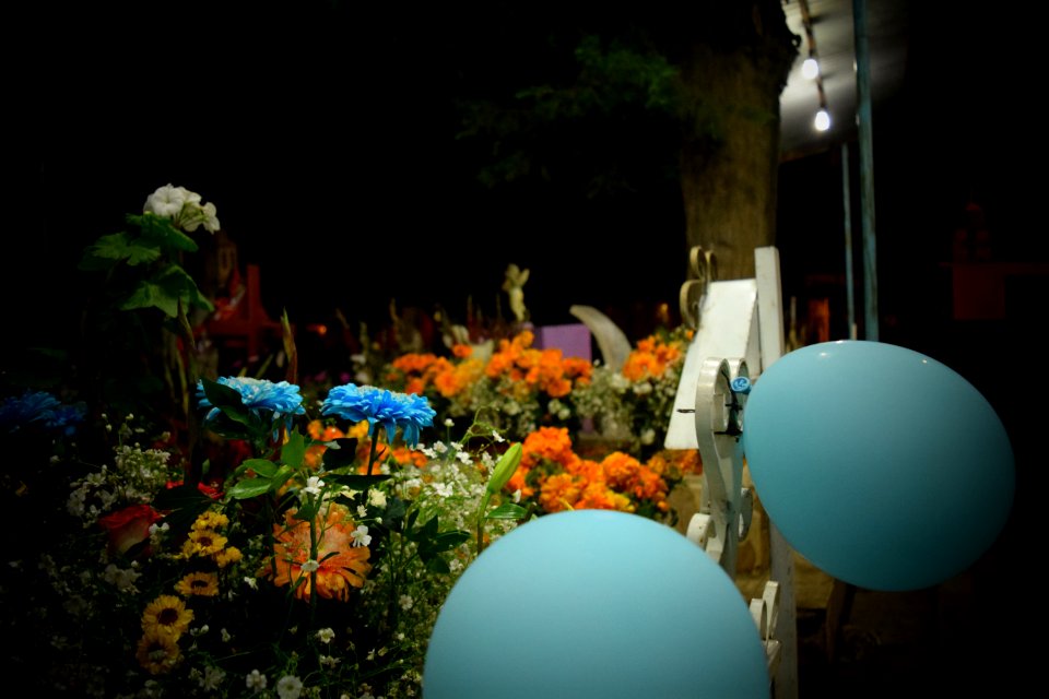 DSC 0481