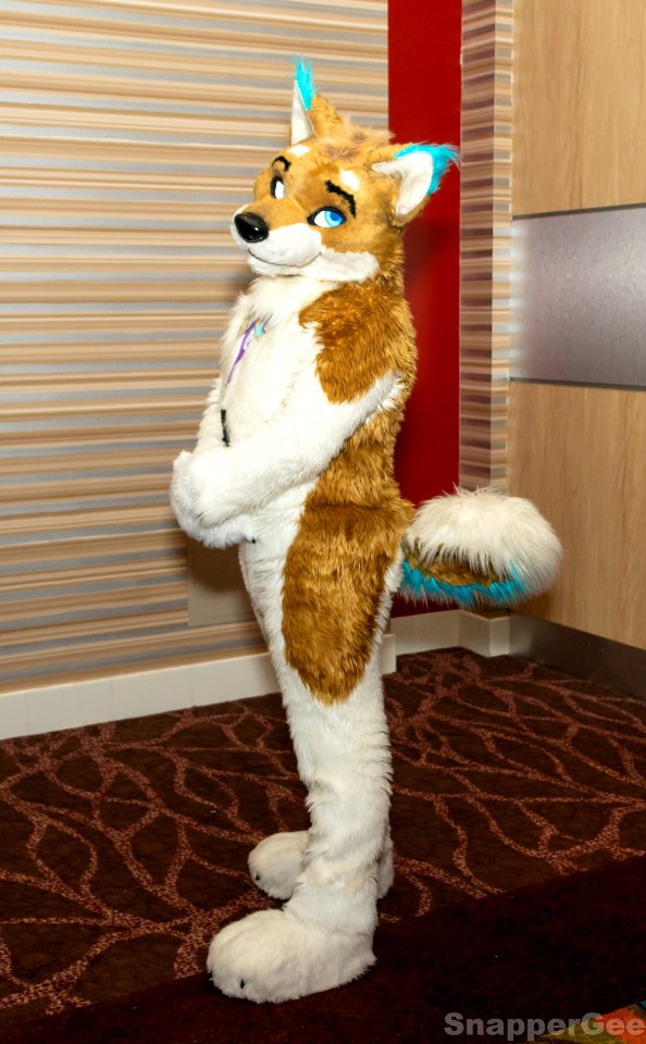 This Shibe's Never Telling