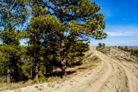 Acton Recreation Area