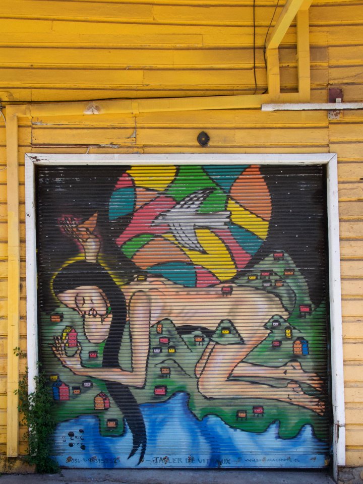 DSC 1041
