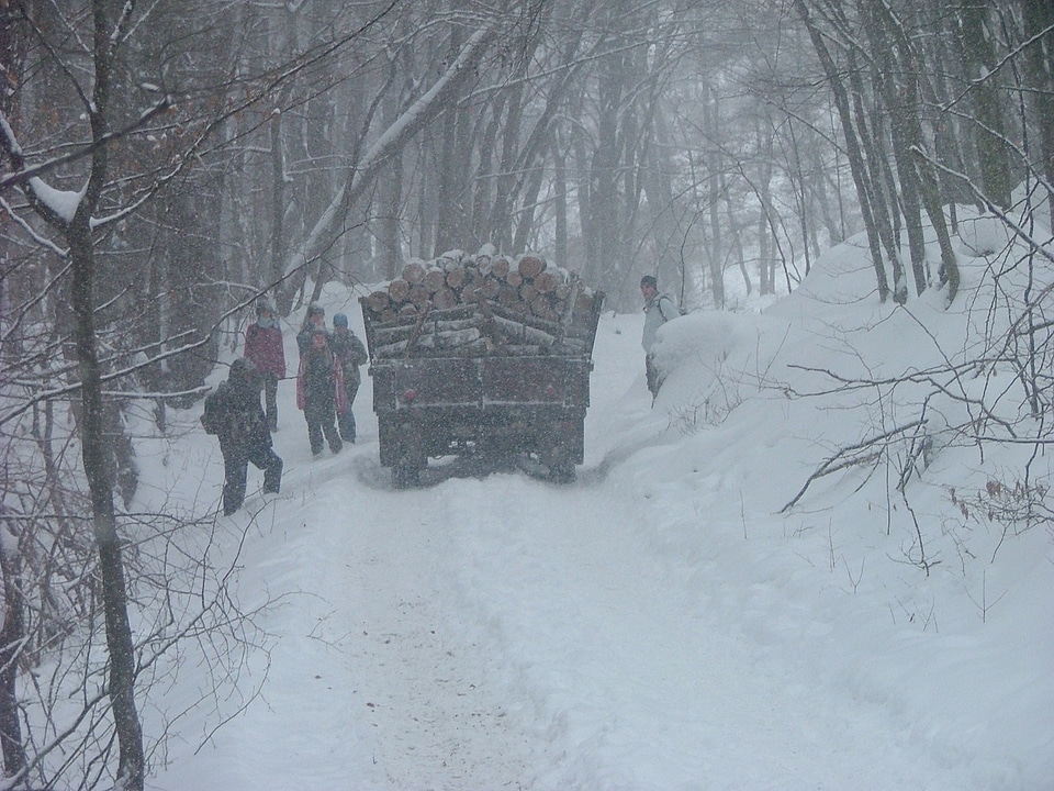 Wood-cutting beech mountain terrain
