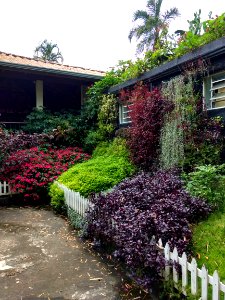 Jardim Botânico Plantarum