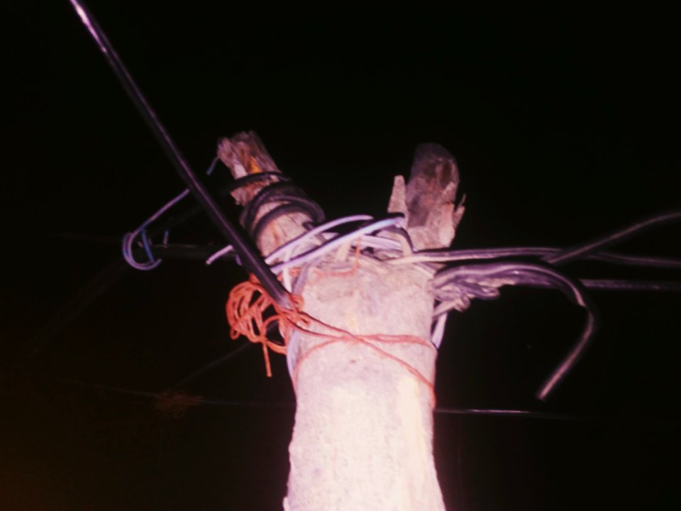 Tronco