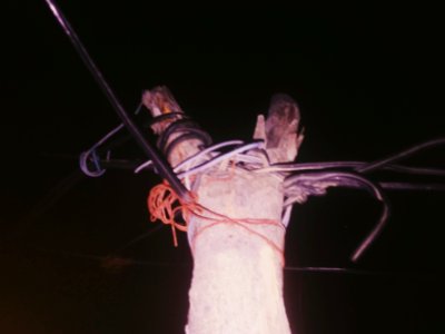 Tronco
