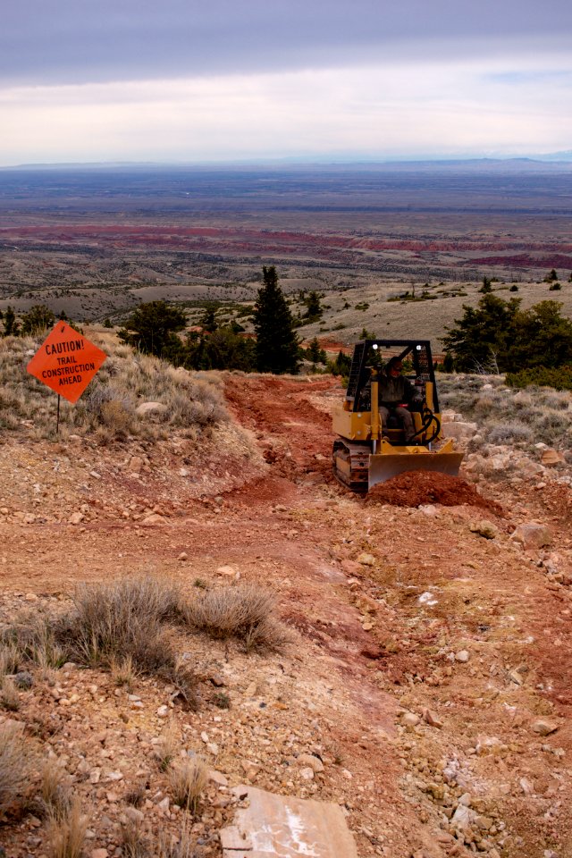 20200504 Pryor Mtns 101