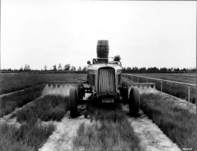193906XX-FS-Mississippi-WHM-381070
