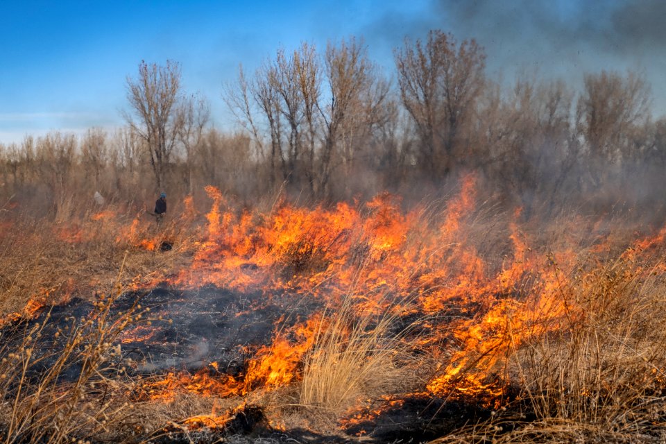 Pompeys Pillar National Monument Prescribed Fire