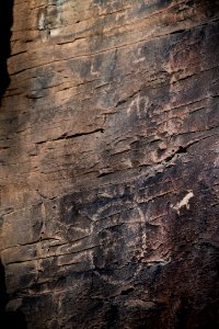 20181203-fs-kaibab-lsc-0808 46234638295 o