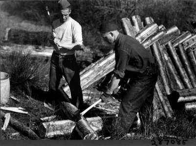 193403XX-FS-Lolo-KDS-287085
