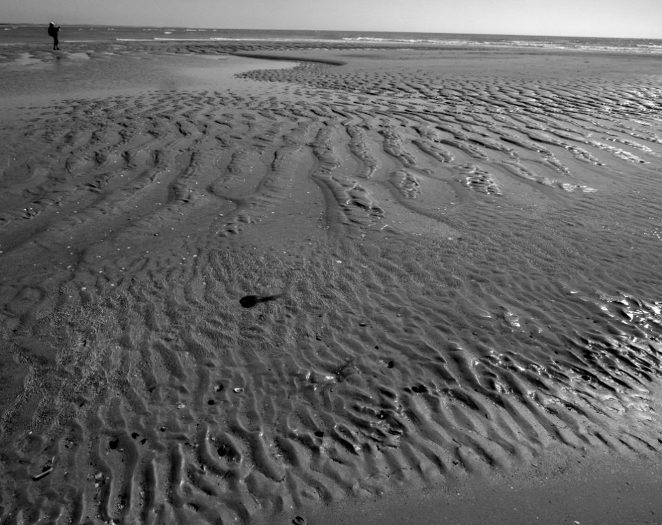 la pointe agon marée basse 1