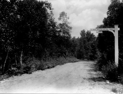 1931XXXX-FS-White Mountain-ESS-261271