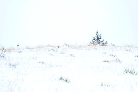 Four Dances Natural Area, Billings, Montana