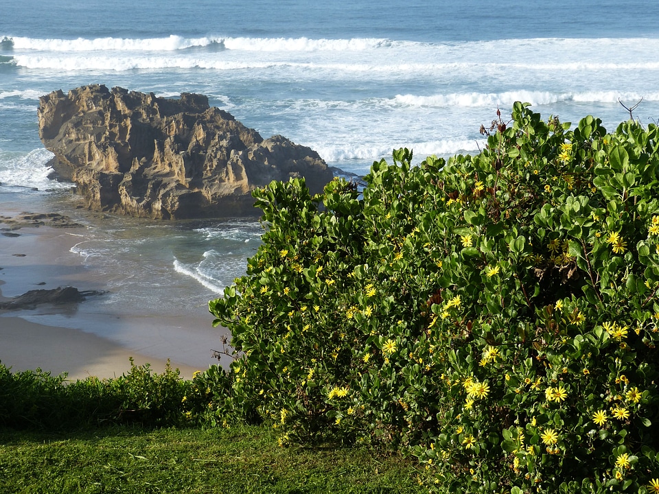 Ocean nature wave