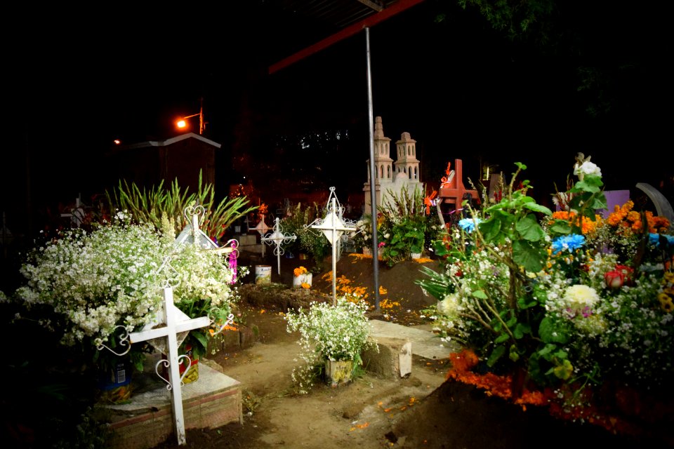 DSC 0482