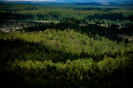 20190926-fs-lsc-0496 49751385823 o