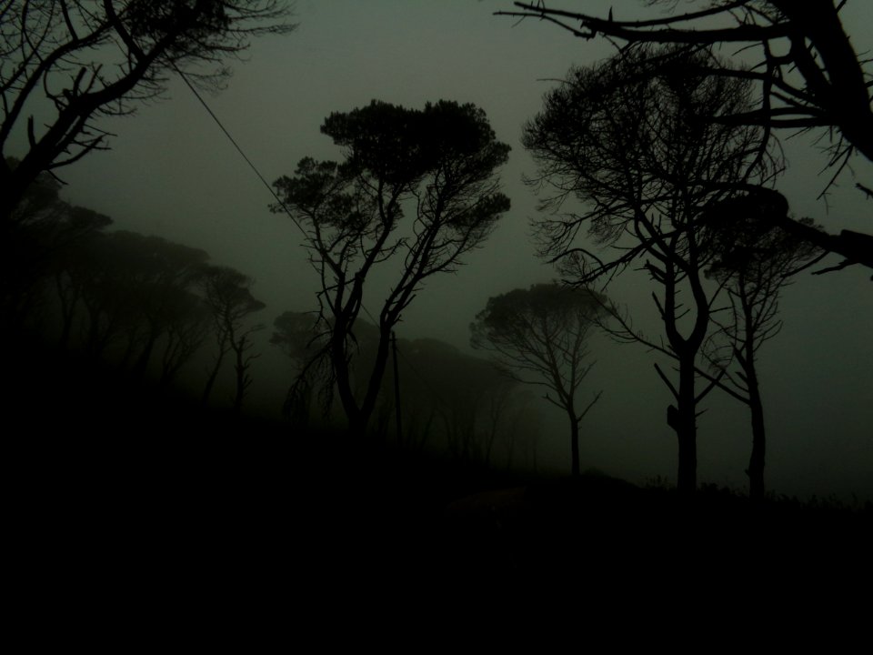 DSC00546