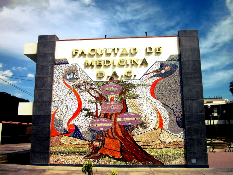 Facultad de Medicina de Ica