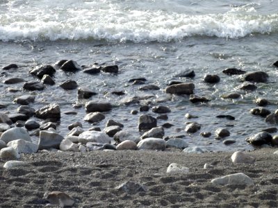 Lago y rocas 5