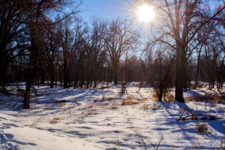 Sundance Lodge Winter 2017 photo