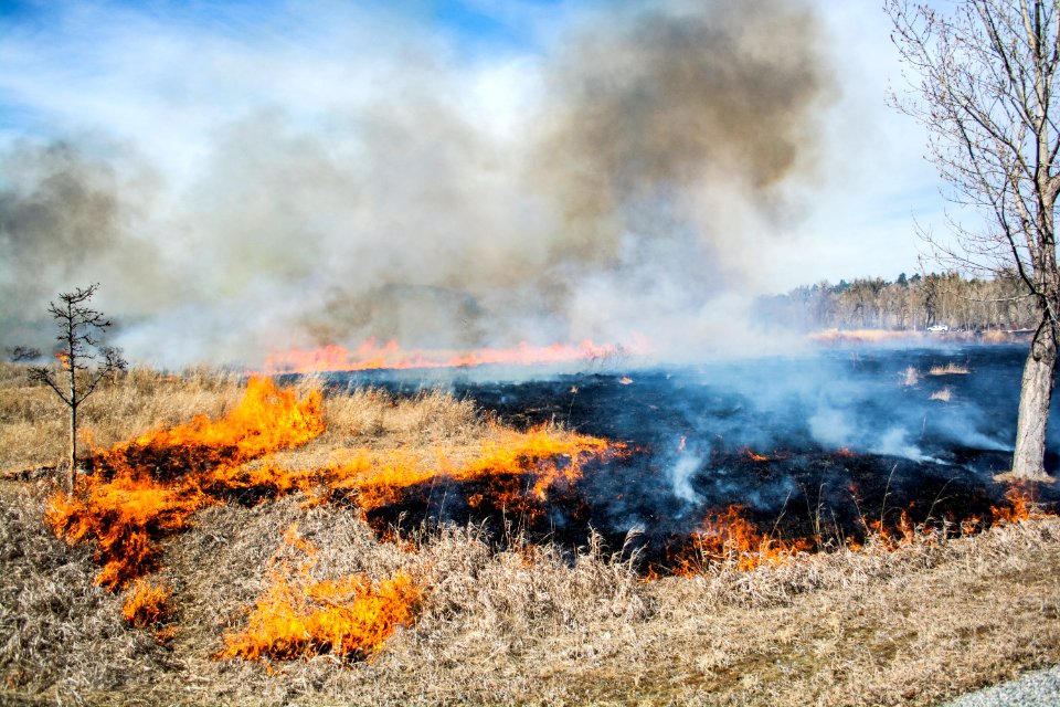 Pompeys Pillar Rx Burn March 2020