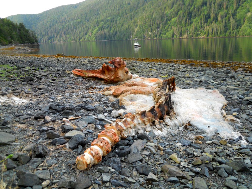 20100910-FS-Tongass-PH-001