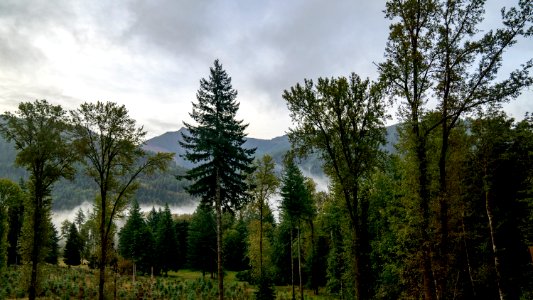 20190923-Gifford-CMR-0042a