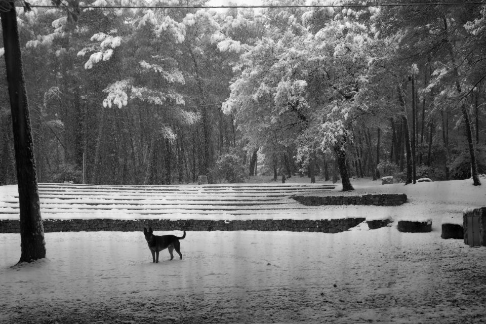 Amphithéatre di neve