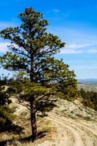 Acton Recreation Area