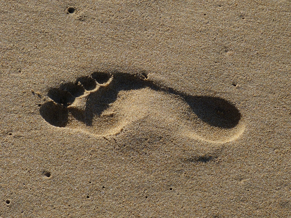 Tracks in the sand footprints in the sand footprint
